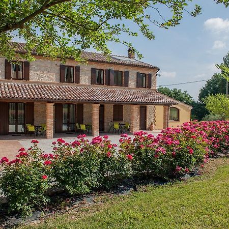 Agriturismo La Vecchia Fonte Castelbellino Exterior foto