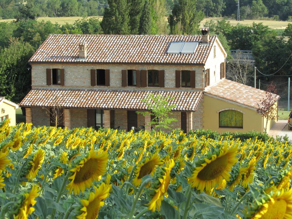 Agriturismo La Vecchia Fonte Castelbellino Exterior foto